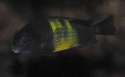 DSC_3193 v2.jpg