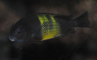 DSC_3193.jpg