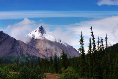 On Highway 93 to Ice Field_2