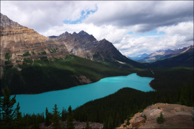 Peyto Lake