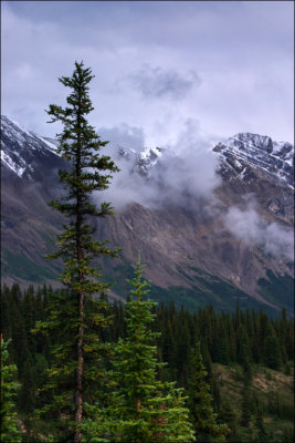 Canadian Rockies, 2009