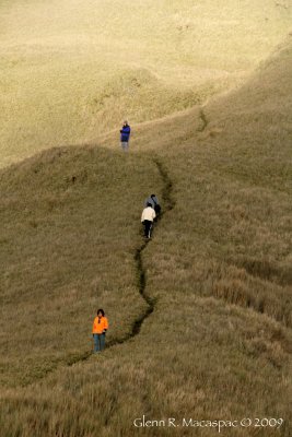 Trail