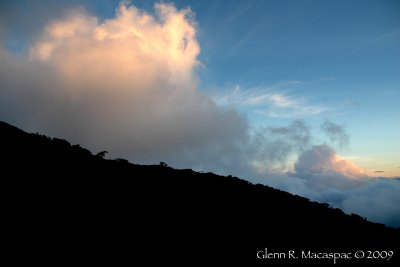 Silhouette