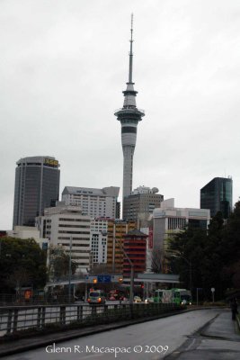 Auckland Skyline