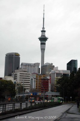 Auckland Skyline