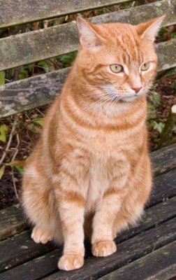 Monty October 2008