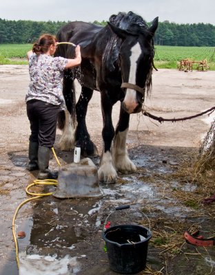 Harvey bathing