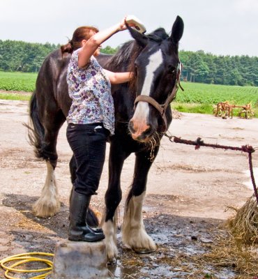 Harvey having a shampoo