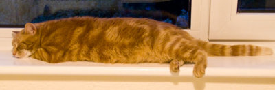Monty July 2009