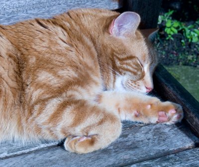 7 September 2009 - a hard day at the office!