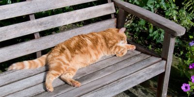 7 September 2009 - a hard day at the office!