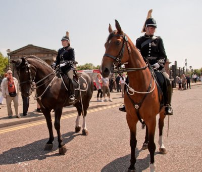 Merseyside Police horses