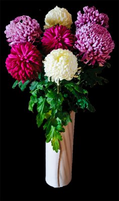 Vase of  flowers