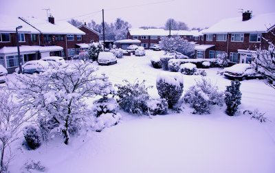 Snow in the front garden