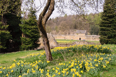 Mount Grace Priory 