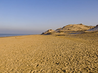 Formby beach and sandhills.