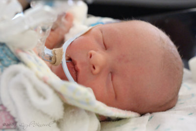 Evan Daniel - 1 day old