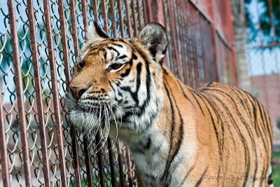 g1/81/2881/3/129113175.Jovww2gr.jpg