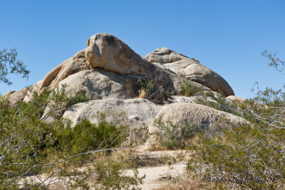 Joshua Tree National Park