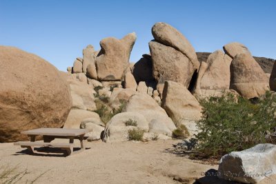 Joshua Tree National Park