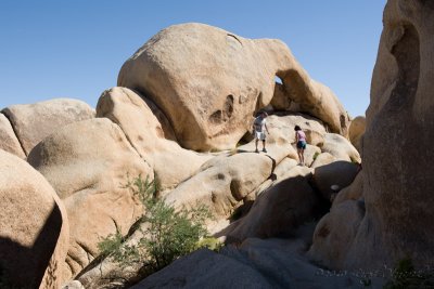 Joshua Tree National Park