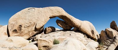 Joshua Tree National Park