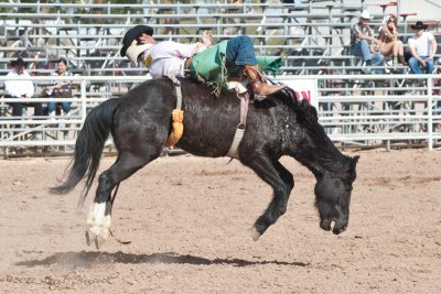 Rodeo 2011