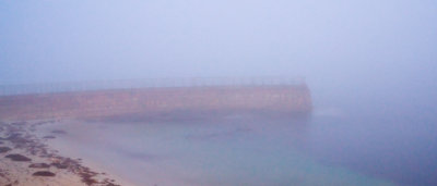 Foggy Morning at the Cove