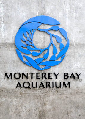 The Aquarium