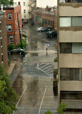 Boston Rain #1