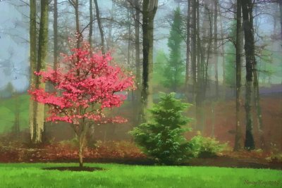 PinkDogwoodInFogHDRandTopaz.jpg