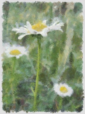 TallDaisy_DAP_Monet_6500_portrait_LoRes.jpg