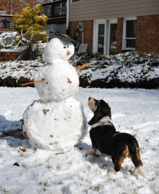 A Little Snow, January 27, 2011