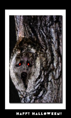 ScreamTree Glow.jpg