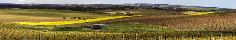 Barossa Pano