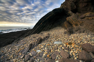 Hallet Cove