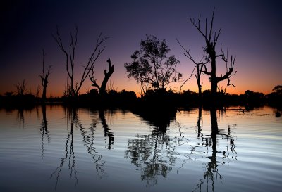 Murray River Lagoon Sunset