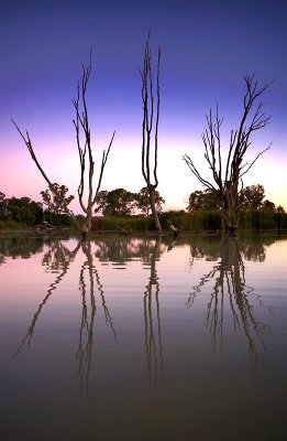 Murray River Lagoon Sunset