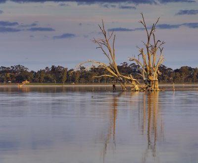 Lake Bonney Reflections_12_web.jpg