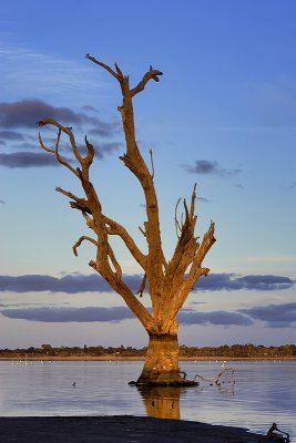 Lake Bonney Reflections_13_web.jpg