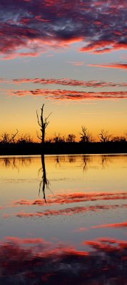 Paringa Sunset_ 9_web.jpg