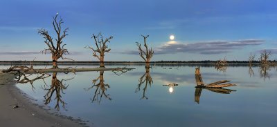 Pelican Point by Moonlight_2c_web.jpg