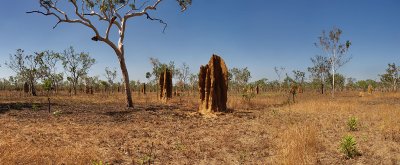 Termite Mound pano_web.jpg