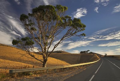 Country Road