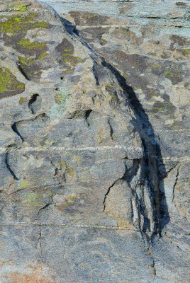 The Wall (with Lichen)