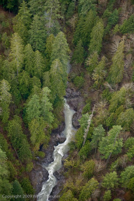 20090316_canyonck_0010.jpg