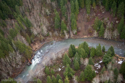 20090316_canyonck_0068.jpg