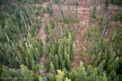 20090316_canyonck_0082.jpg