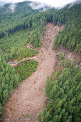 20090316_canyonck_0139.jpg