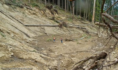 20090422_CanyonCk-80.jpg